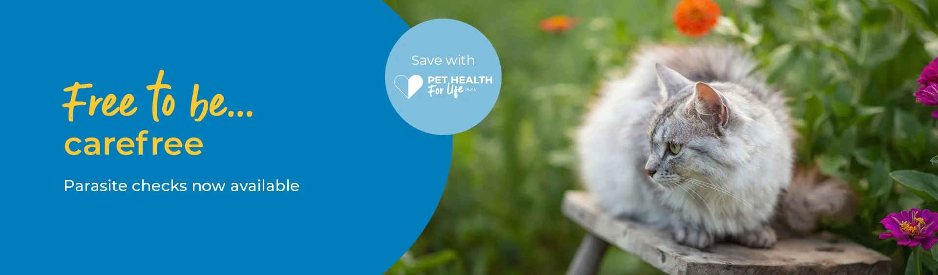 Flea, Worm & Tick Treatments | Sandhole Veterinary Centre